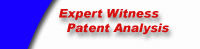 Expert Witness Patent Analysis